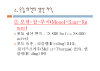 독일 와인 리포트-13