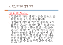 독일 와인 리포트-16