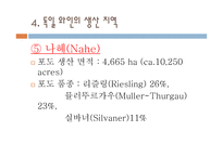 독일 와인 리포트-17