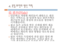 독일 와인 리포트-18