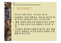 당근의 특성과 효과-2