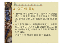 당근의 특성과 효과-5