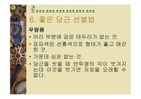 당근의 특성과 효과-9