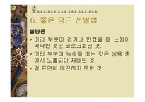 당근의 특성과 효과-10