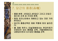 당근의 특성과 효과-11