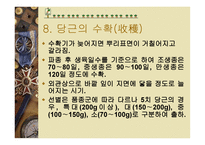 당근의 특성과 효과-12