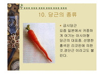 당근의 특성과 효과-15