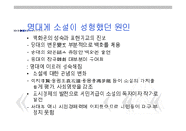 명대 소설문학 보고서-4