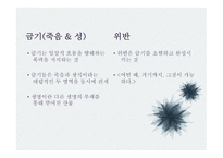 문학과 성원 초적 생명력으로서의 에로티즘 서정주와 정한모-5