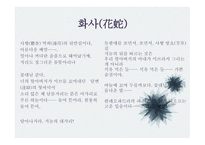 문학과 성원 초적 생명력으로서의 에로티즘 서정주와 정한모-8