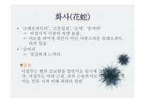 문학과 성원 초적 생명력으로서의 에로티즘 서정주와 정한모-10