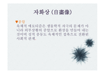 문학과 성원 초적 생명력으로서의 에로티즘 서정주와 정한모-13