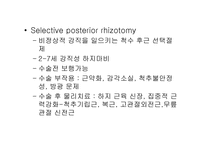 뇌성마비의 치료-17