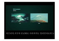 불편한 진실 작품 분석-6