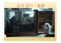 고전 읽기와 토론 영화 부기우기-18