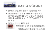 세계의 술 문화-10