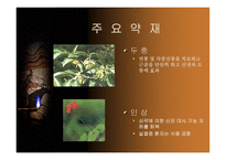 중국 한의학과 침술-10