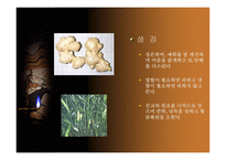 중국 한의학과 침술-12