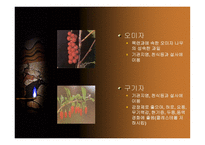 중국 한의학과 침술-16