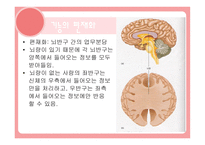 편 재화와 언어 개론-3