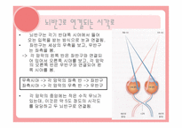 편 재화와 언어 개론-4