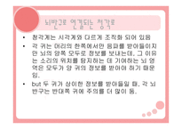 편 재화와 언어 개론-5