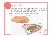 편 재화와 언어 개론-12