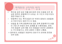 편 재화와 언어 개론-20