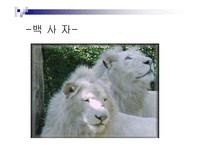 중국의 학술 변화-6