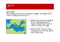 언어와 사회 언어의 다양성 언어 특성 혼성어 혼합어 혼효어-11