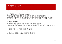 언어와 사회 언어의 다양성 언어 특성 혼성어 혼합어 혼효어-12