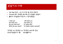 언어와 사회 언어의 다양성 언어 특성 혼성어 혼합어 혼효어-14