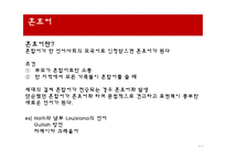 언어와 사회 언어의 다양성 언어 특성 혼성어 혼합어 혼효어-16