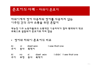 언어와 사회 언어의 다양성 언어 특성 혼성어 혼합어 혼효어-17