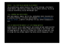 문학개론 시 이론-11