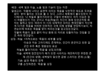 문학개론 시 이론-17