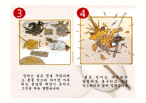 전라도의 소리 레포트-20