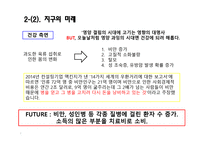 육식 인스턴트 문화 이로운가 인스턴트 식품문화의 배경과 생태문제-7