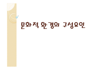 문화적 환경의 구성요인-1
