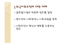 문화적 환경의 구성요인-19
