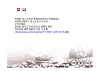 전쟁의 역사 레포트-19
