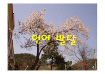 언어발달 레포트-1