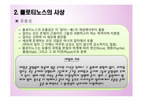 플로티노스 철학-10