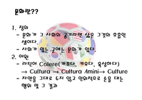 문화적 충돌 레포트-3