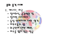 문화적 충돌 레포트-8