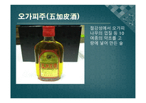 중국 의술 레포트-20