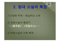 청나라 소설문학-4