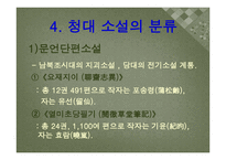 청나라 소설문학-5