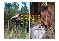 미개 사회의 성과 억압 콤플렉스의 형성-6