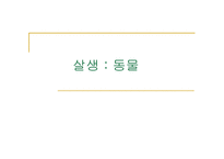 동물의 살생 레포트-1